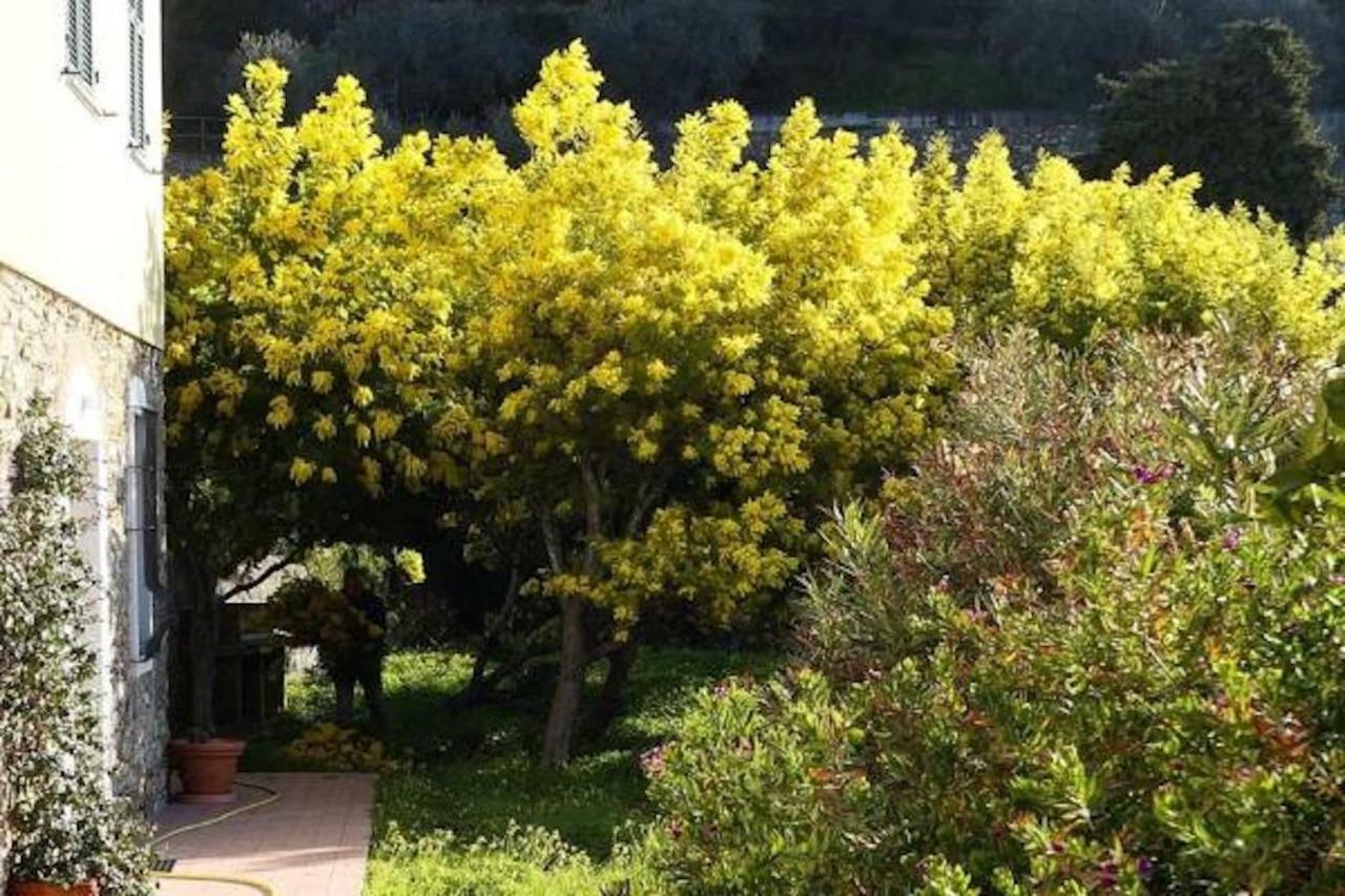 Agriturismo San Michele Di Danio Giovanni Dolcedo Exteriör bild